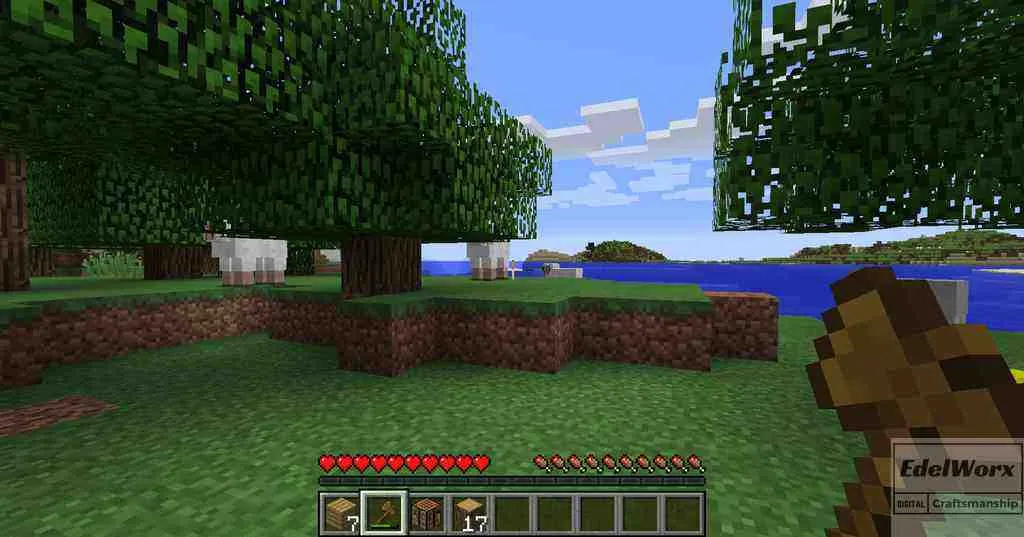 13 minecraft basic tag2